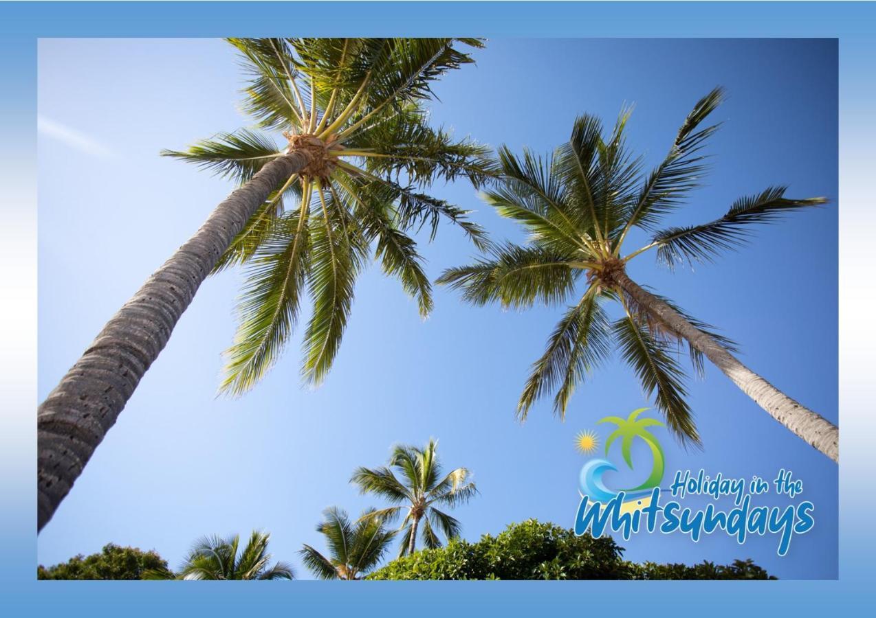 Ocean View 16A Studio Pool & Spa Wi-Fi Airlie Beach Bagian luar foto